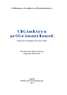Ulgamlaýyn programmirlemek